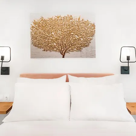 Terra By Terrasea Homes
